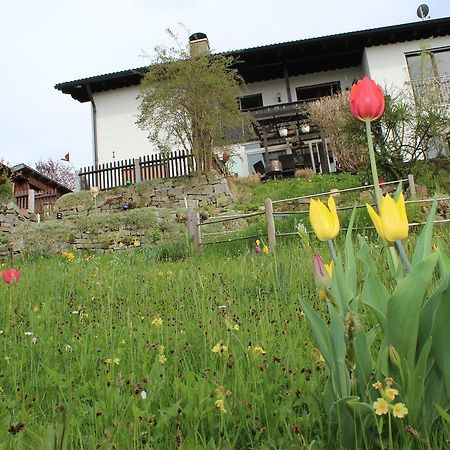 Ferienwohnung Haus Koblizek Waldkirchen Exterior foto