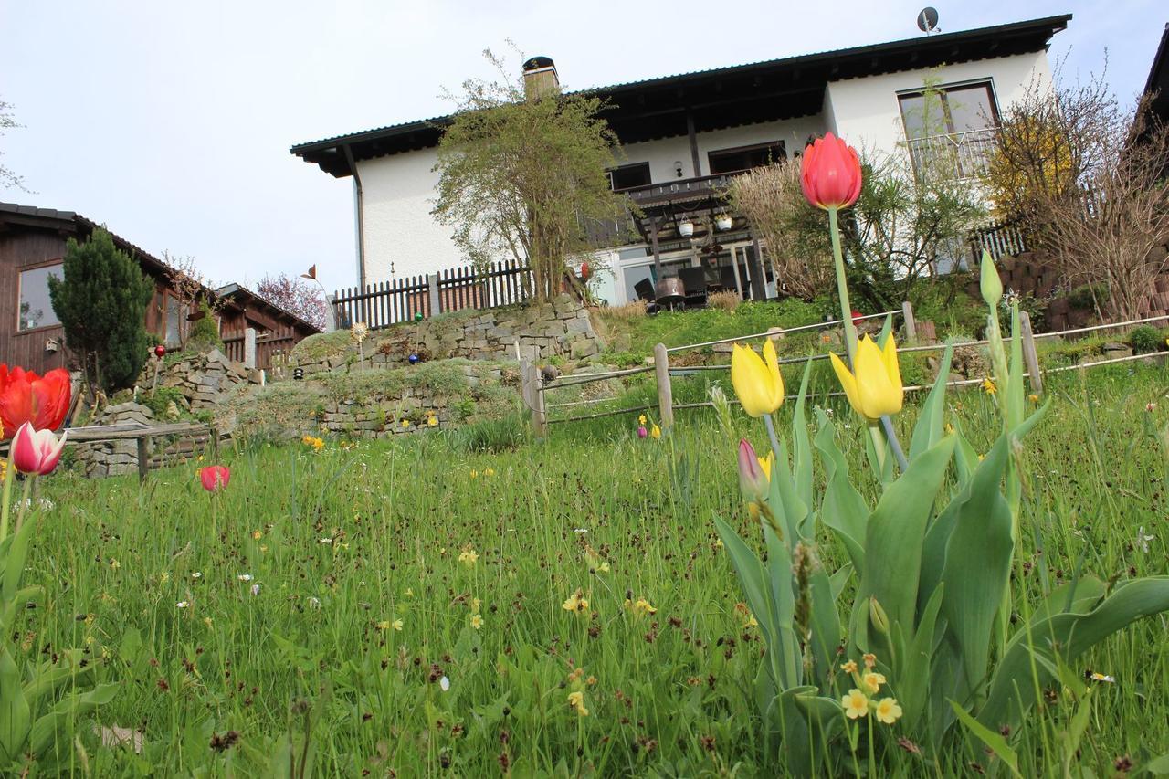 Ferienwohnung Haus Koblizek Waldkirchen Exterior foto