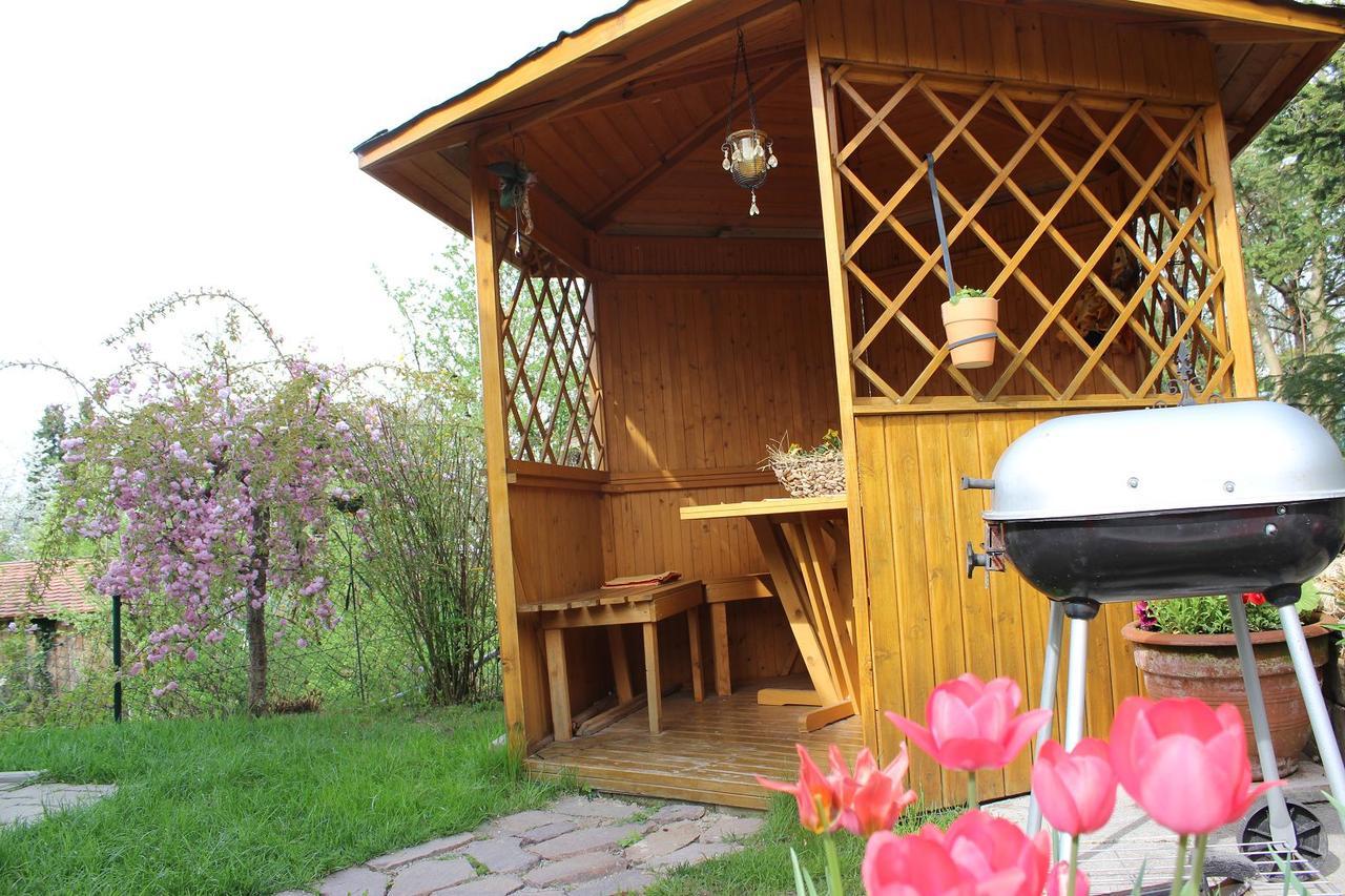 Ferienwohnung Haus Koblizek Waldkirchen Exterior foto